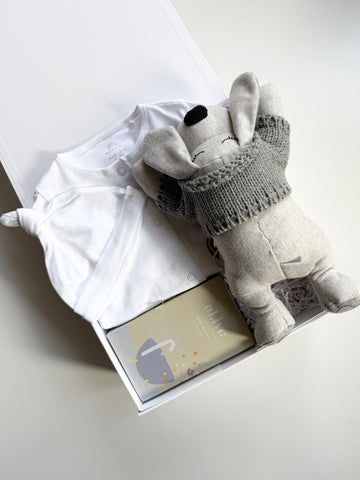 cute cuddly puppy teddy bear and unisex romper outfit and hate for newborn baby gift basket.  Includes an Alice bubble bath