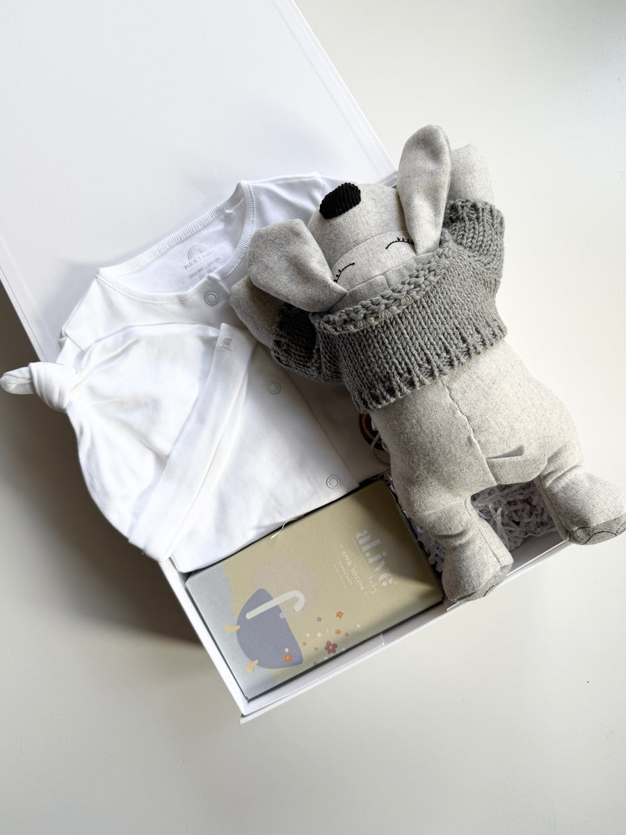 cute cuddly puppy teddy bear and unisex romper outfit and hate for newborn baby gift basket.  Includes an Alice bubble bath